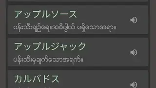 Myanmar Japanese Dictionary screenshot