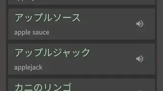 Myanmar Japanese Dictionary screenshot