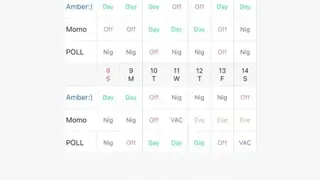 MYDUTY – Nurse Calendar screenshot
