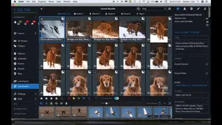Mylio X screenshot