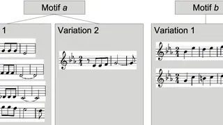 MyMotif screenshot