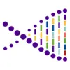 MYPACKBRAIN