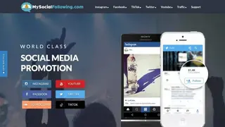 MySocialFollowing screenshot