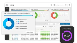 N-able Backup screenshot