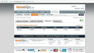 NameBright screenshot