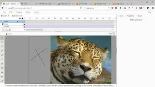 NanoFL Editor screenshot