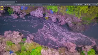 NatGeo NewTab screenshot