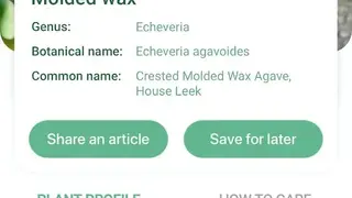 NatureID screenshot