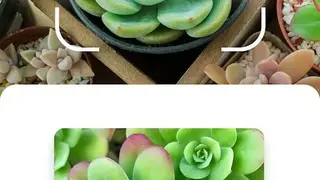 NatureID screenshot