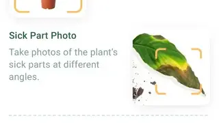 NatureID screenshot