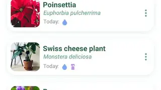 NatureID screenshot