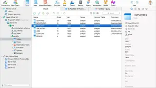 Navicat for PostgreSQL screenshot