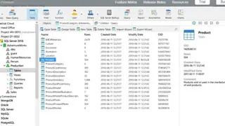 Navicat Premium screenshot