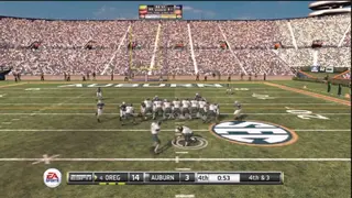 NCAA Football 11 screenshot