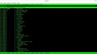 Ncdu screenshot