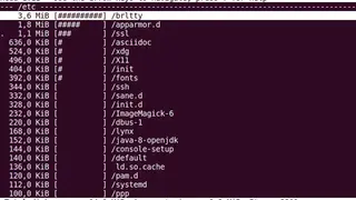 Ncdu screenshot