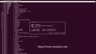 Ncdu screenshot