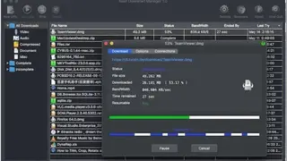 Neat Download Manager for Mac screenshot