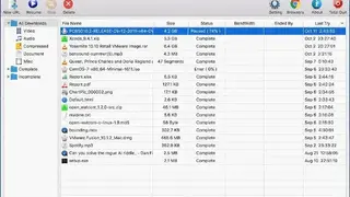 Neat Download Manager for Mac screenshot