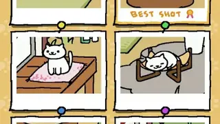 Neko Atsume screenshot