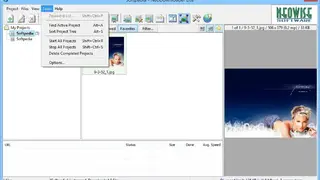 NeoDownloader screenshot