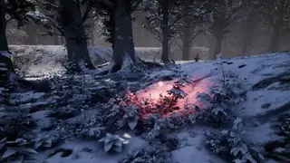 Nephise screenshot