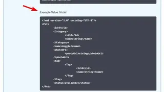 NestJS screenshot