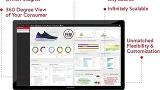 NetBase screenshot