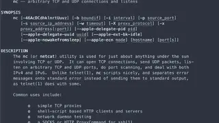 Netcat screenshot