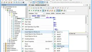 Netezza screenshot
