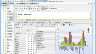 Netezza screenshot