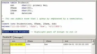 Netezza screenshot