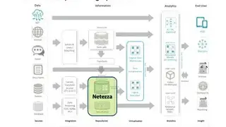 Netezza screenshot