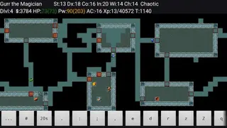 NetHack screenshot