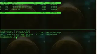 Nethogs screenshot