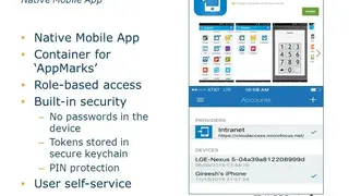 NetIQ Access Management screenshot