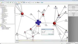 NetMiner screenshot