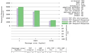 Netperf screenshot