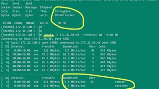 Netperf screenshot
