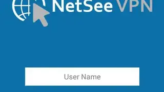 NetSee VPN screenshot
