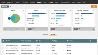 Netskope screenshot