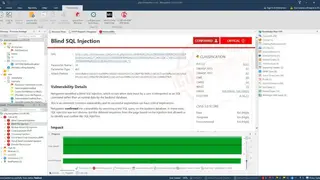 Netsparker screenshot