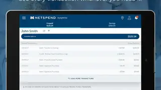 Netspend Skylight ONE screenshot