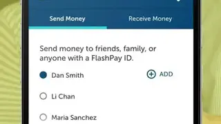 Netspend Skylight ONE screenshot