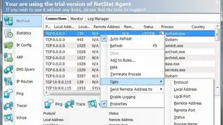 NetStat Agent screenshot