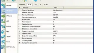 NetStat Agent screenshot