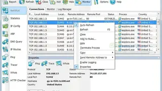 NetStat Agent screenshot