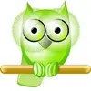 NetStat Agent