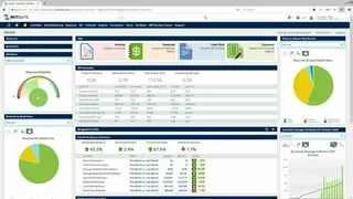 NetSuite for Nonprofits screenshot