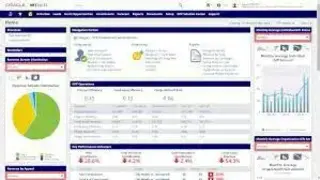 NetSuite for Nonprofits screenshot